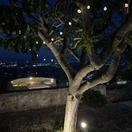 Trulli Belvedere Di Puglia Dom wakacyjny Selva Di Fasano